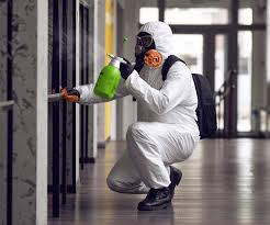 Hoboken, NJ Mold Removal Company